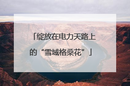 绽放在电力天路上的“雪域格桑花”