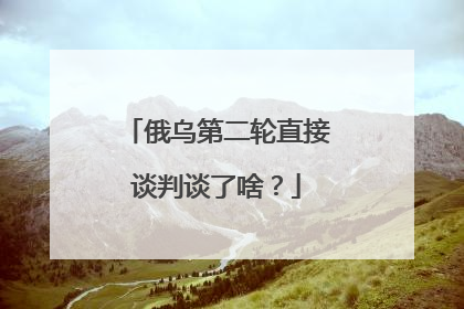 俄乌第二轮直接谈判谈了啥？