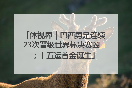 体视界｜巴西男足连续23次晋级世界杯决赛圈；十五运首金诞生
