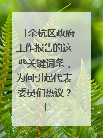余杭区政府工作报告的这些关键词条，为何引起代表委员们热议？