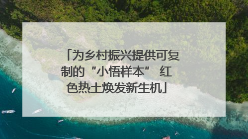 为乡村振兴提供可复制的“小悟样本” 红色热土焕发新生机
