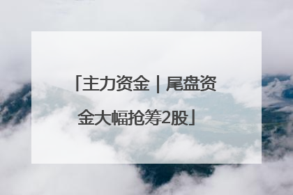 主力资金｜尾盘资金大幅抢筹2股