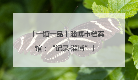 一馆一品丨淄博市档案馆：“记录·淄博”