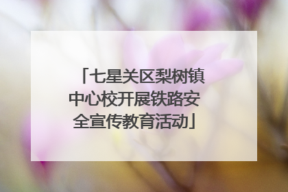 七星关区梨树镇中心校开展铁路安全宣传教育活动