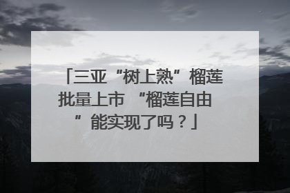 三亚“树上熟”榴莲批量上市 “榴莲自由”能实现了吗？