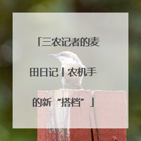三农记者的麦田日记丨农机手的新“搭档”