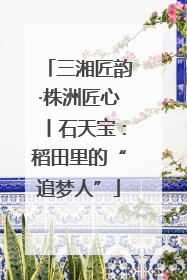三湘匠韵·株洲匠心丨石天宝：稻田里的“追梦人”