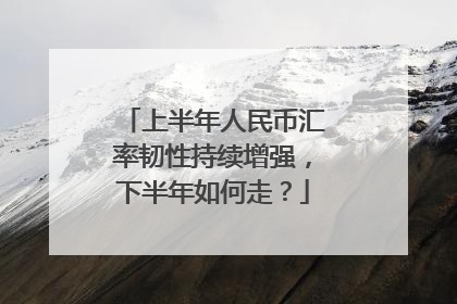 上半年人民币汇率韧性持续增强，下半年如何走？