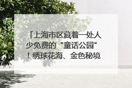 上海市区藏着一处人少免费的“童话公园”！绣球花海、金色秘境……地铁直达→