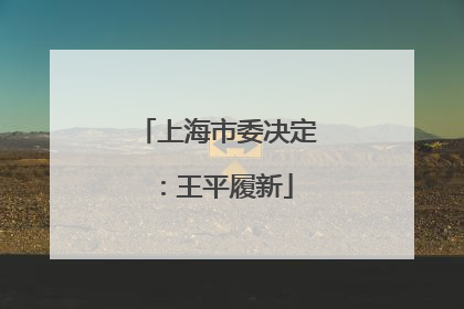 上海市委决定：王平履新