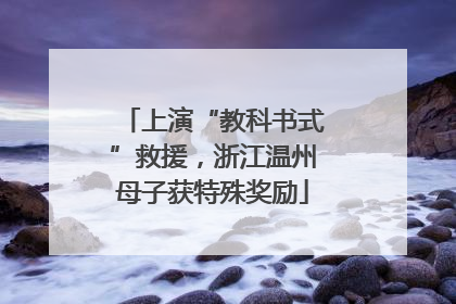 上演“教科书式”救援，浙江温州母子获特殊奖励