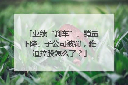 业绩“刹车”、销量下降、子公司被罚，雅迪控股怎么了？