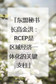 东盟秘书长高金洪：RCEP是区域经济一体化的关键支柱