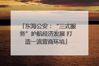 东海公安：“三式服务”护航经济发展 打造一流营商环境
