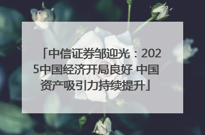 中信证券邹迎光：2025中国经济开局良好 中国资产吸引力持续提升