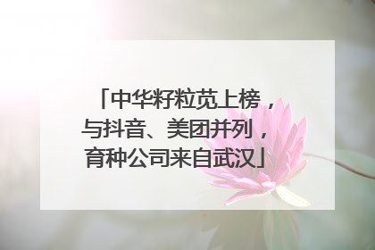中华籽粒苋上榜，与抖音、美团并列，育种公司来自武汉