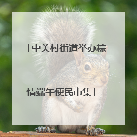 中关村街道举办粽情端午便民市集