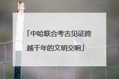 中哈联合考古见证跨越千年的文明交响