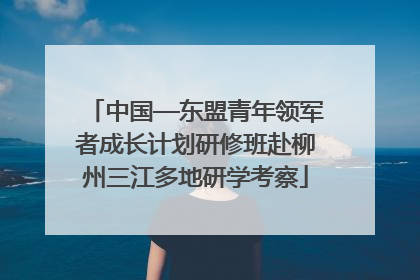 中国—东盟青年领军者成长计划研修班赴柳州三江多地研学考察