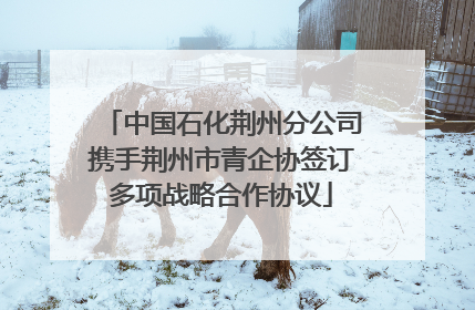 中国石化荆州分公司携手荆州市青企协签订多项战略合作协议