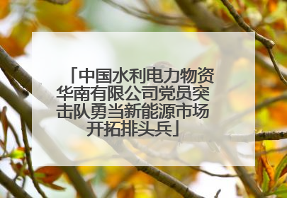 中国水利电力物资华南有限公司党员突击队勇当新能源市场开拓排头兵