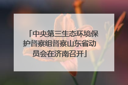 中央第三生态环境保护督察组督察山东省动员会在济南召开