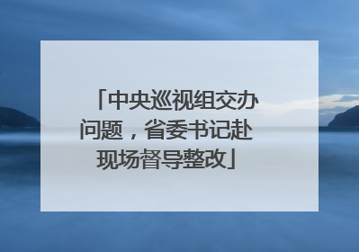中央巡视组交办问题，省委书记赴现场督导整改