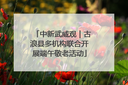 中新武威观｜古浪县多机构联合开展端午敬老活动