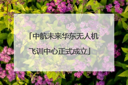 中航未来华东无人机飞训中心正式成立