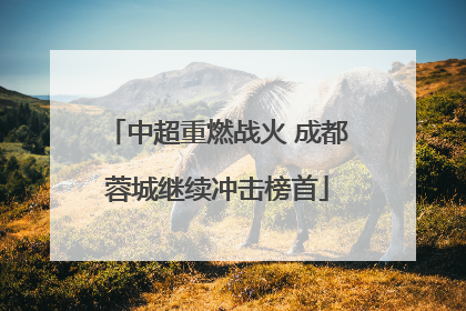 中超重燃战火 成都蓉城继续冲击榜首