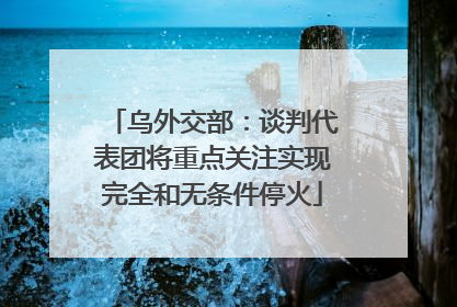 乌外交部：谈判代表团将重点关注实现完全和无条件停火