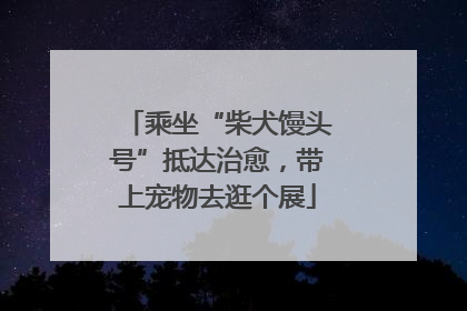 乘坐“柴犬馒头号”抵达治愈，带上宠物去逛个展