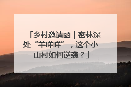 乡村邀请函｜密林深处“羊咩咩”，这个小山村如何逆袭？