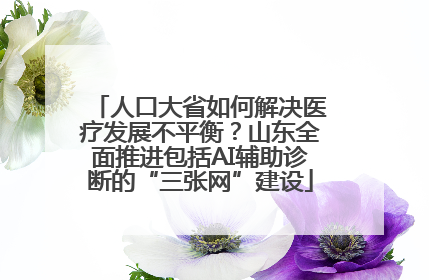 人口大省如何解决医疗发展不平衡？山东全面推进包括AI辅助诊断的“三张网”建设
