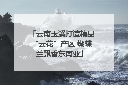 云南玉溪打造精品“云花”产区 蝴蝶兰飘香东南亚