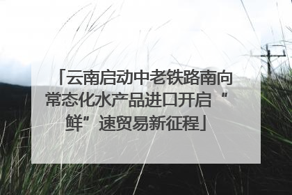 云南启动中老铁路南向常态化水产品进口开启“鲜”速贸易新征程