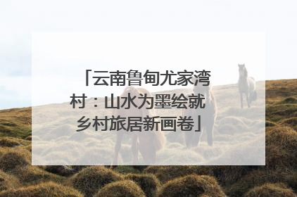 云南鲁甸尤家湾村：山水为墨绘就乡村旅居新画卷