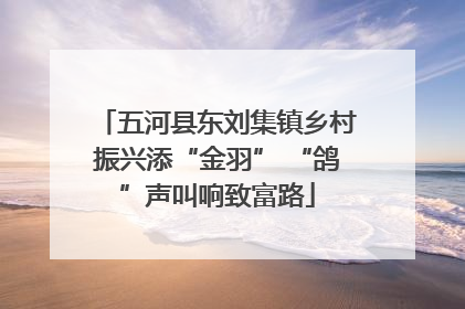 五河县东刘集镇乡村振兴添“金羽” “鸽”声叫响致富路