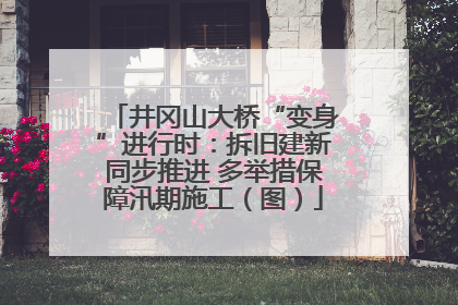井冈山大桥“变身”进行时：拆旧建新同步推进 多举措保障汛期施工（图）