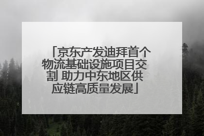 京东产发迪拜首个物流基础设施项目交割 助力中东地区供应链高质量发展