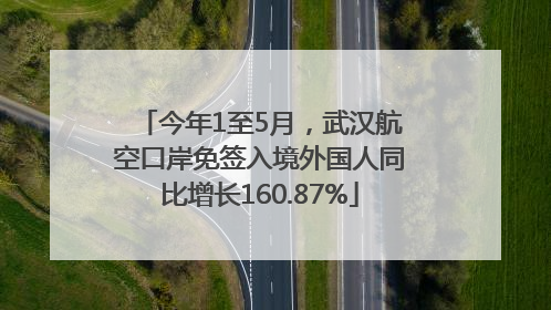 今年1至5月，武汉航空口岸免签入境外国人同比增长160.87%