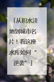 从积水洼地到城市名片！看这座水库如何“逆袭”