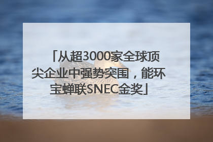 从超3000家全球顶尖企业中强势突围，能环宝蝉联SNEC金奖