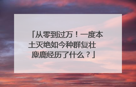 从零到过万！一度本土灭绝如今种群复壮 麋鹿经历了什么？