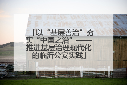 以“基层善治”夯实“中国之治”——推进基层治理现代化的临沂公安实践