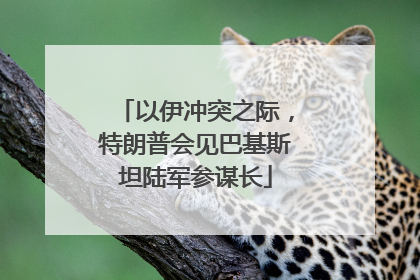 以伊冲突之际，特朗普会见巴基斯坦陆军参谋长