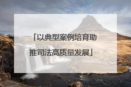 以典型案例培育助推司法高质量发展