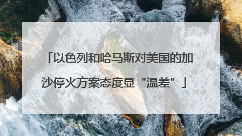 以色列和哈马斯对美国的加沙停火方案态度显“温差”
