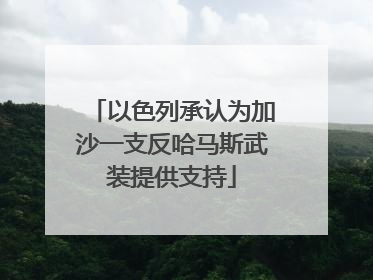 以色列承认为加沙一支反哈马斯武装提供支持