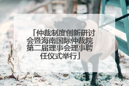 仲裁制度创新研讨会暨海南国际仲裁院第二届理事会理事聘任仪式举行